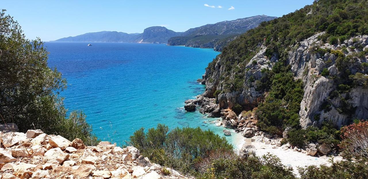 B&B Cala Luna Cala Gonone Eksteriør bilde
